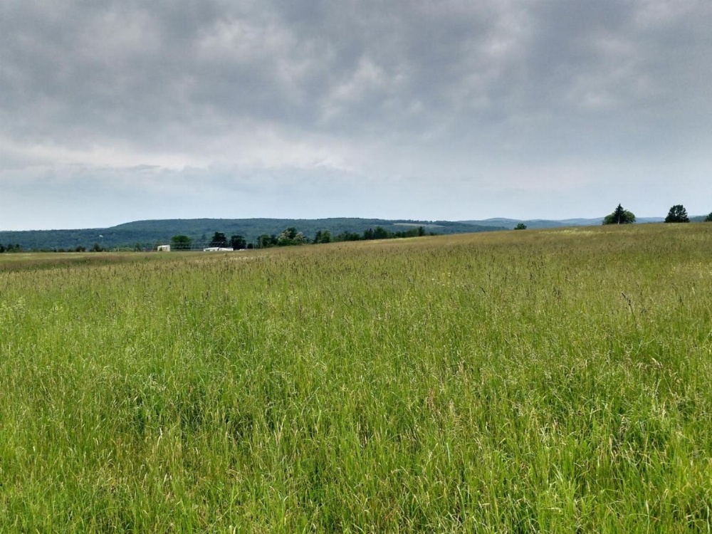 Tentrr - Roaring Acres Farm Image 6